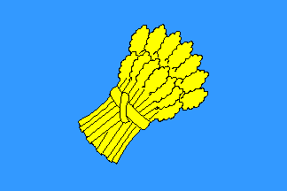 File:Flag of Canjáyar.png