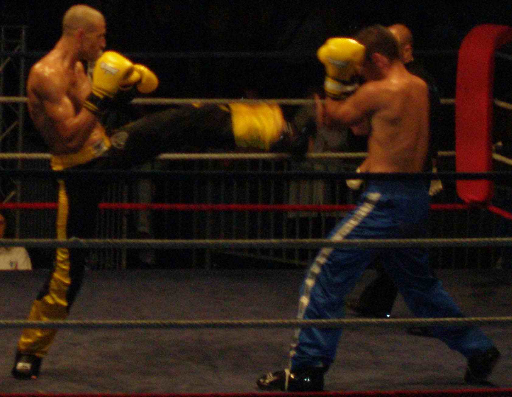 Short de boxe Muay Thai short kick boxe arts martiaux troncs d'entraînement  homm