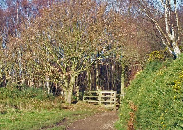 Gated Approach - geograph.org.uk - 669269