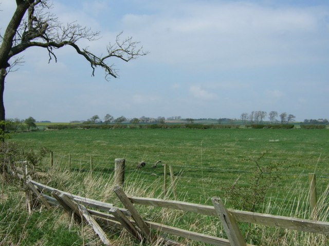 File:Grazing near Fenwick - geograph.org.uk - 4445779.jpg