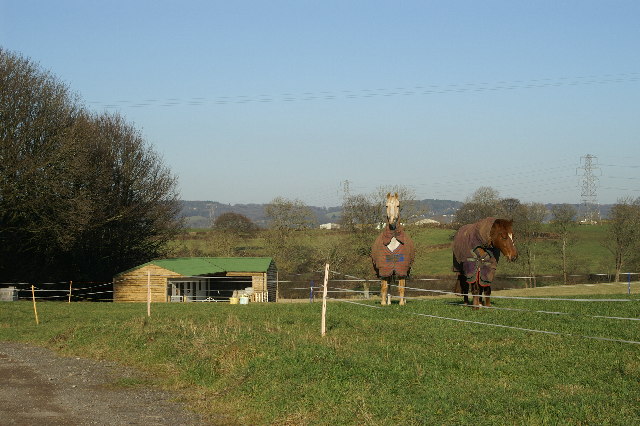 File:Horses and Stables - geograph.org.uk - 114156.jpg