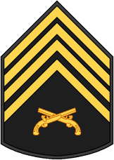 File Insignia Pm P2 Png Wikimedia Commons