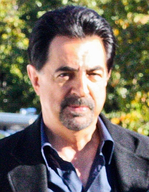 Joe Mantegna