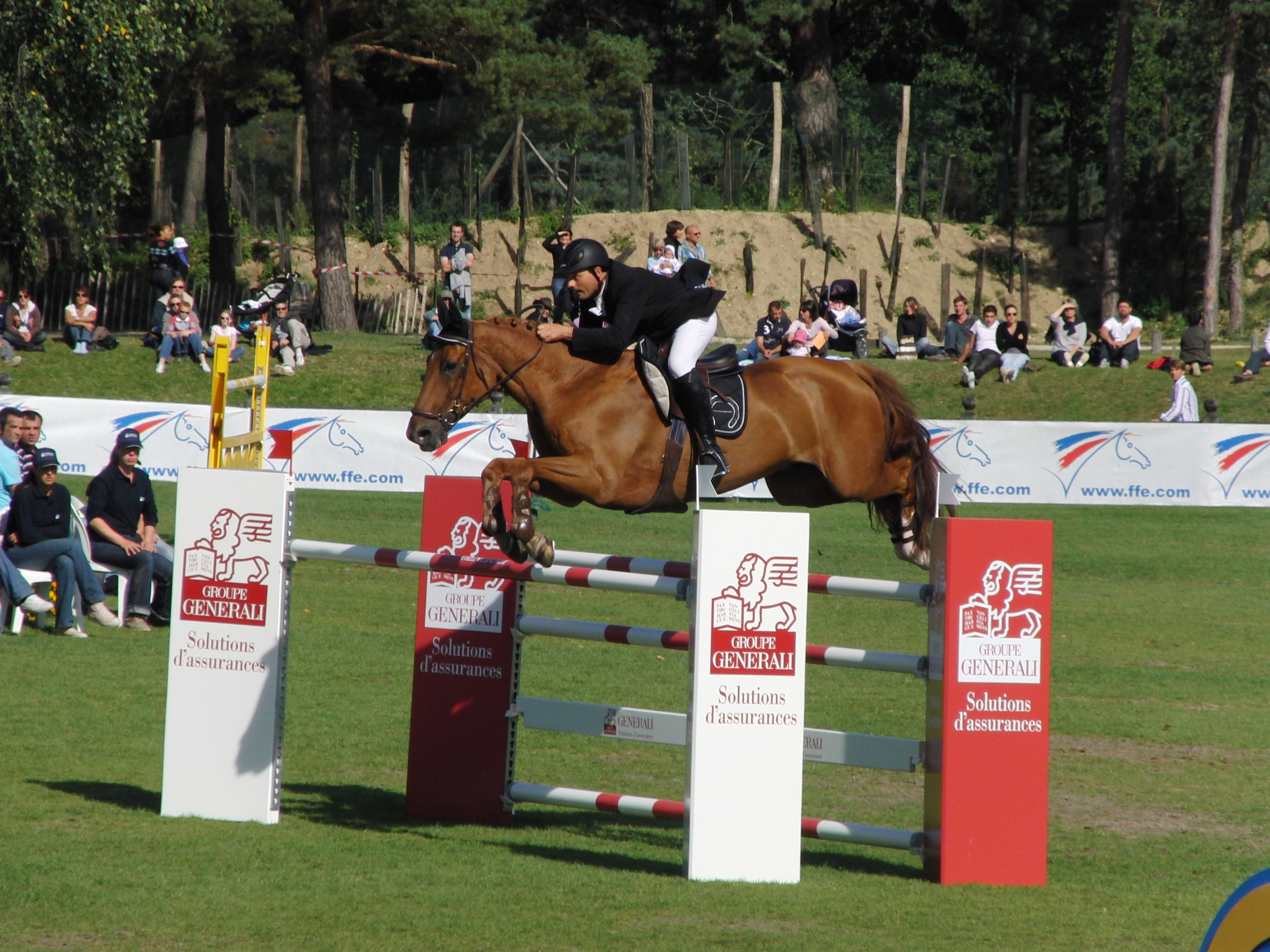 Cavalo Lusitano salto obstáculos 