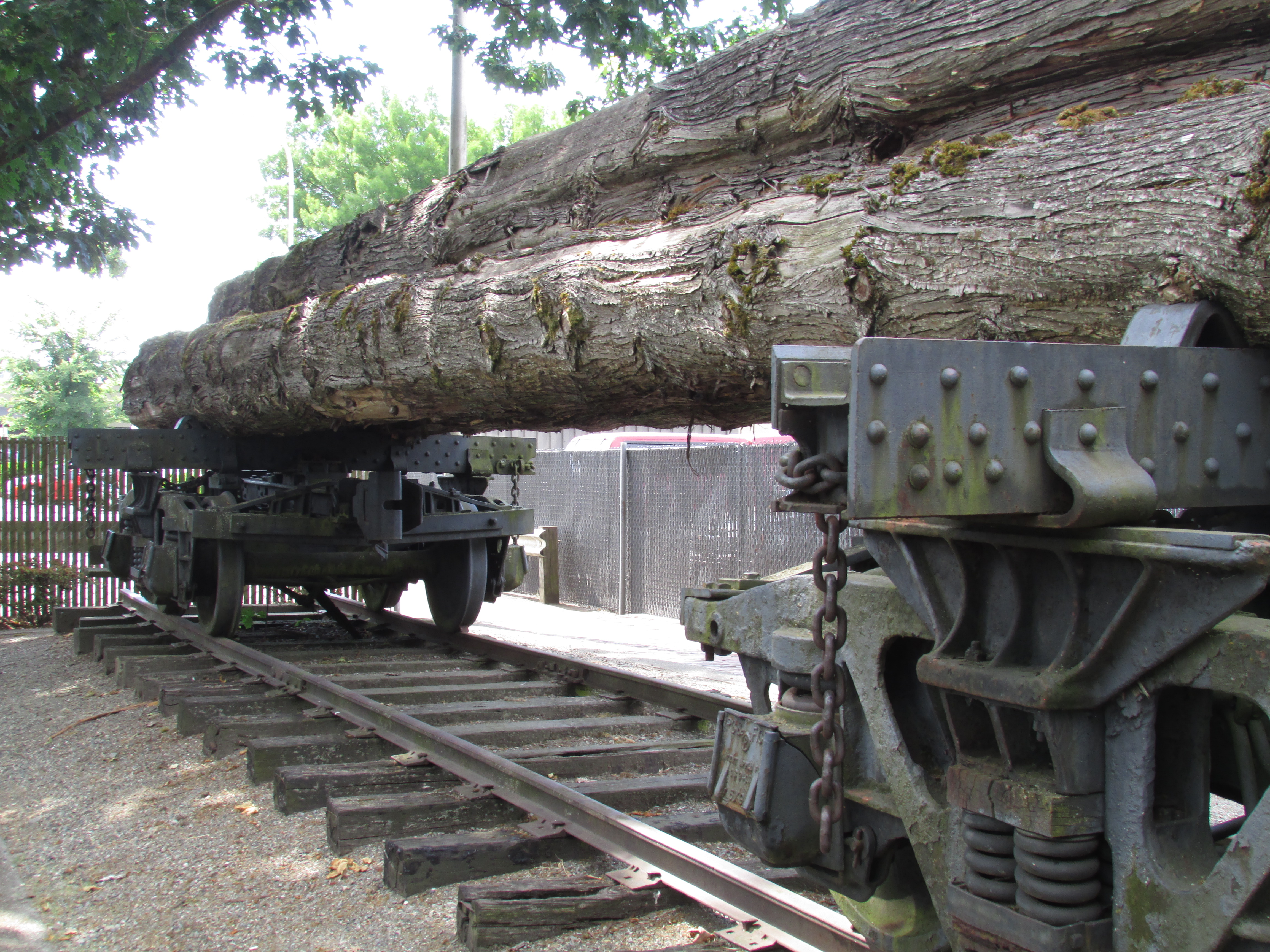 Commons logging. Logs railcar.