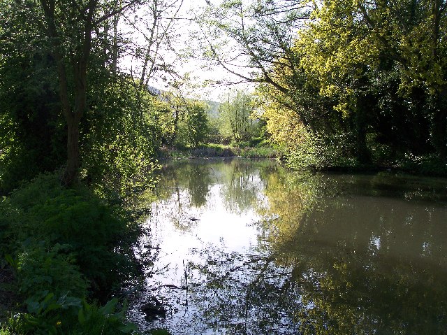 File:Moat Pond, Sherrards Green Road, Malvern - geograph.org.uk - 6154.jpg