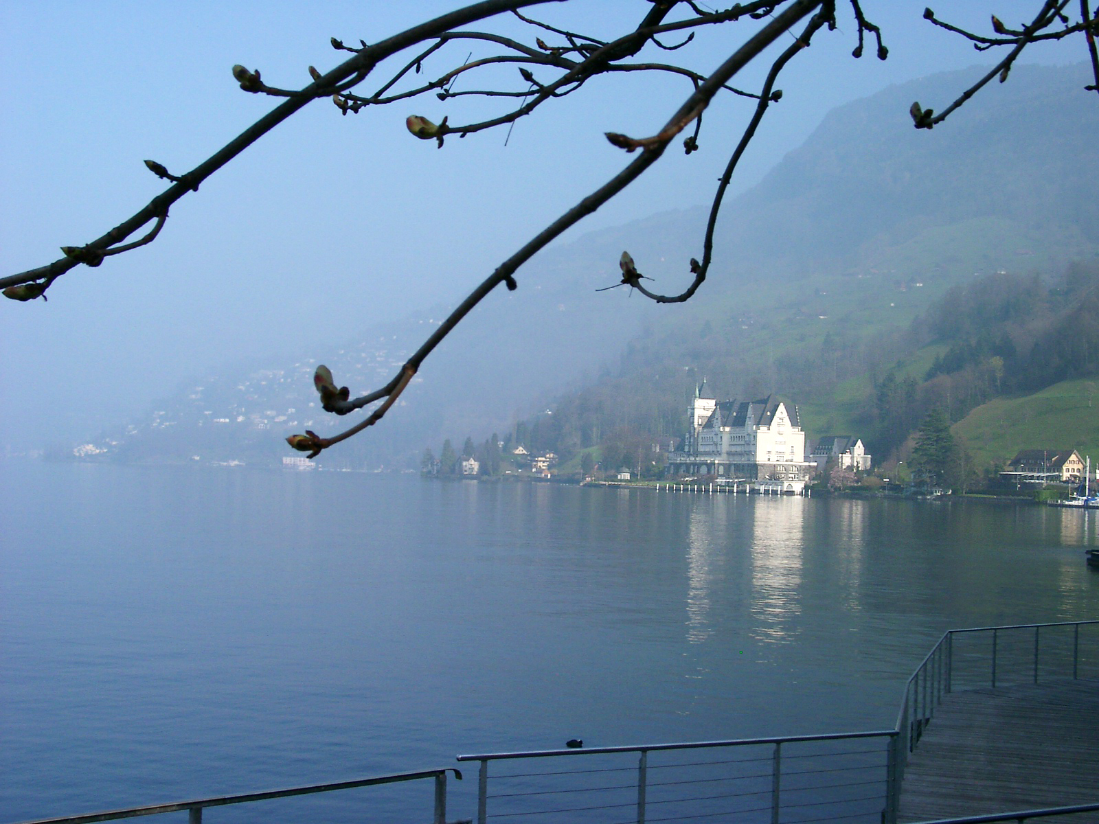 Park Hotel Vitznau