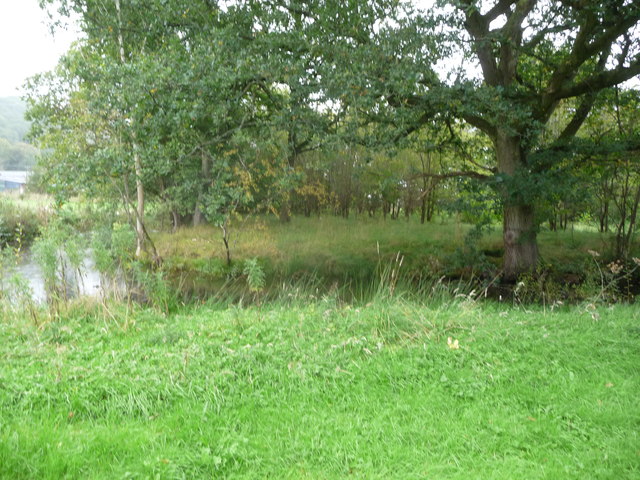 File:Part of Cwrt y Person moated site at Meifod - geograph.org.uk - 3156759.jpg