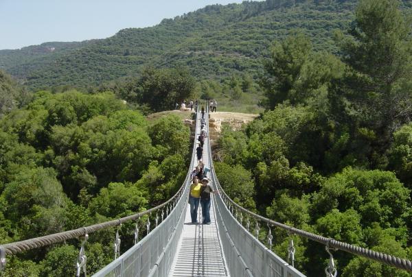 File:PikiWiki Israel 116 Park Nesher bridge הגשר התלוי בנשר.JPG