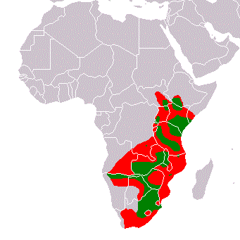 zebras in africa map