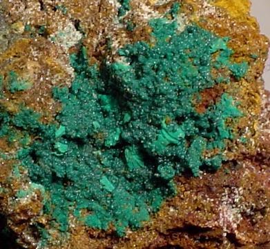 Reichenbachite-Kipushite-177341.jpg