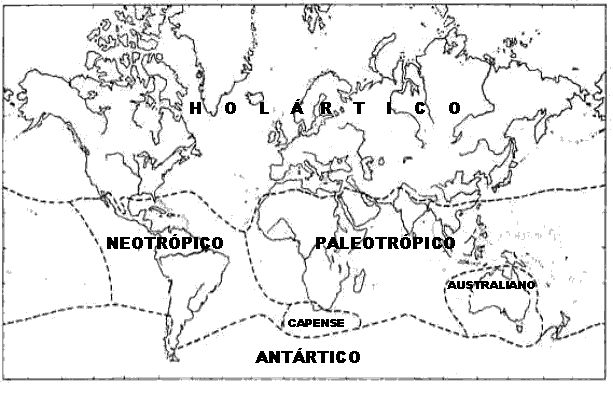 Regiones Biogeográficas Argentinas - El Sur del Sur