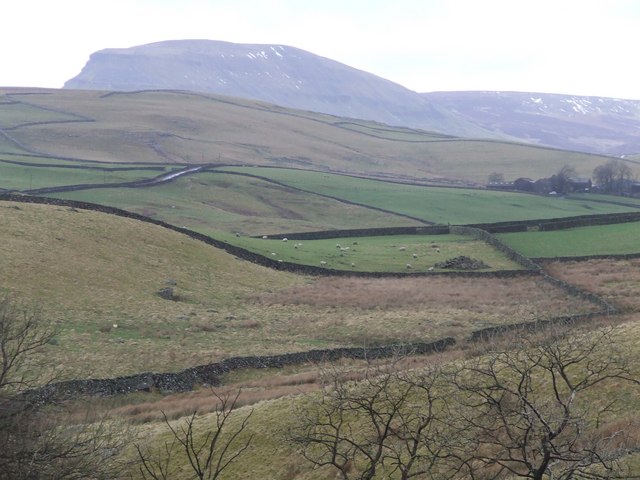 Rough Grazing land north of Catrigg Force - geograph.org.uk - 681055