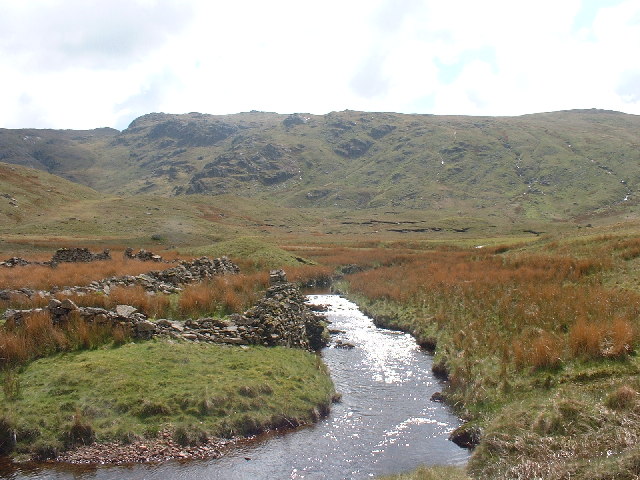 File:Ruined Sheepfold Flour Gill - geograph.org.uk - 95976.jpg