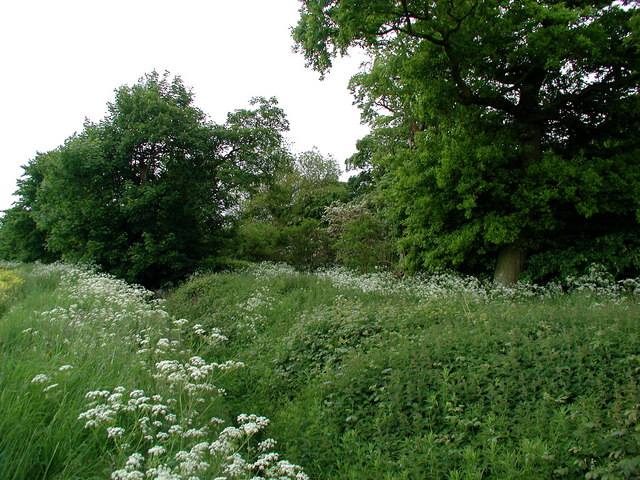 File:Shaw Fosse and Humbleton Manor - geograph.org.uk - 448254.jpg