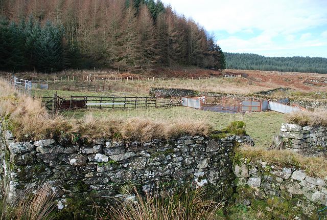 File:Sheep Fank - geograph.org.uk - 702309.jpg