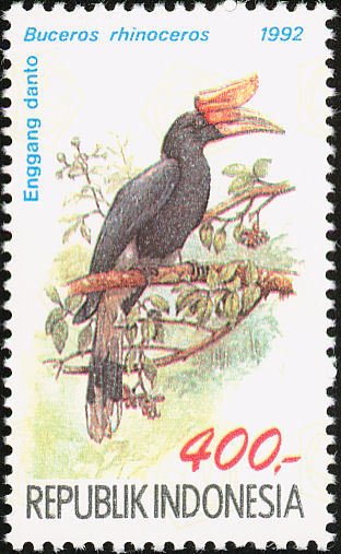 File:Stamp of Indonesia - 1992 - Colnect 252805 - Rhinoceros Hornbill Buceros rhinoceros.jpeg