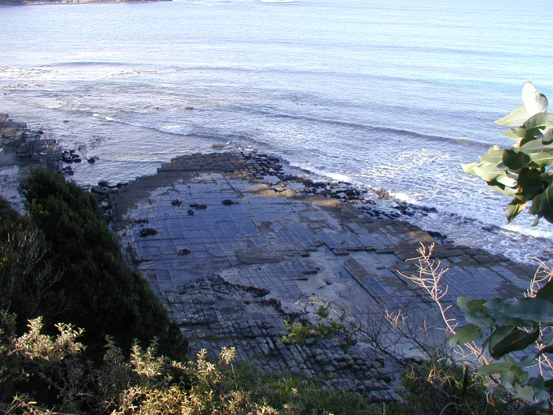 File:Tesselated pavement tasman peninsula.jpg