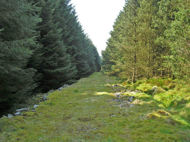 File:Tramway - geograph.org.uk - 792766.jpg