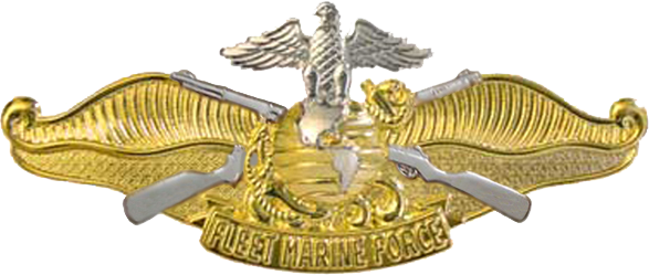 Vanguard Miniature Officer Navy Fleet Marine Force Badge Gold and Silver 