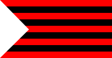 File:Ungheni flag.png