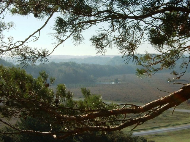File:View from Marchwood Inclosure Pines - geograph.org.uk - 331325.jpg