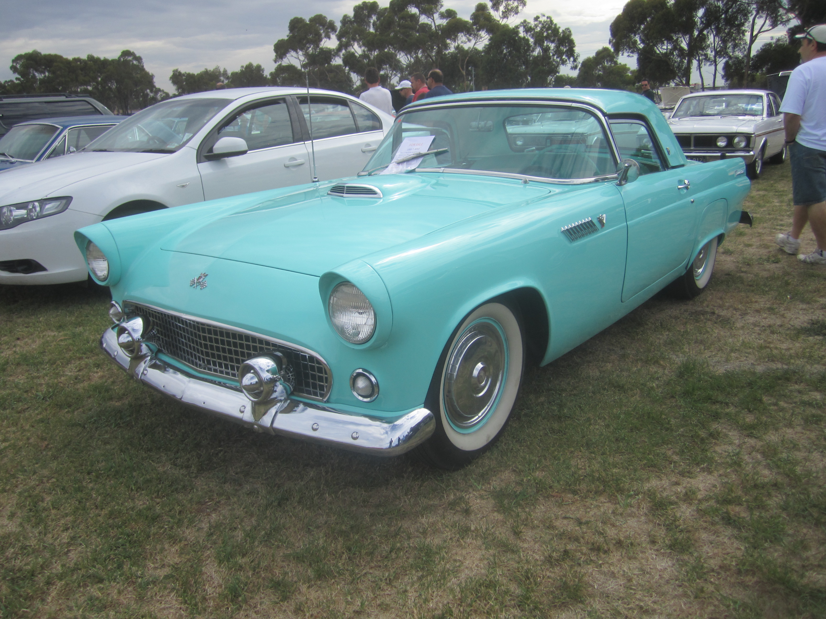 1955 Ford thunderbird wikipedia