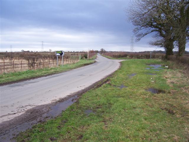 File:A damp verge. - geograph.org.uk - 144721.jpg