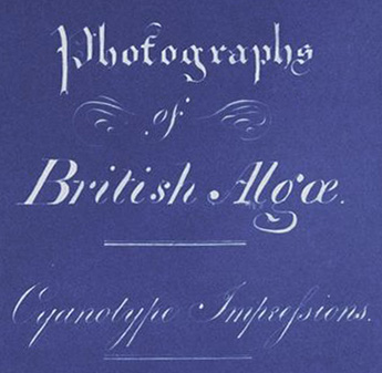 File:Anna Atkins Title Page of Photographs of British Algae Cyanotype Impressions (Detail).jpg