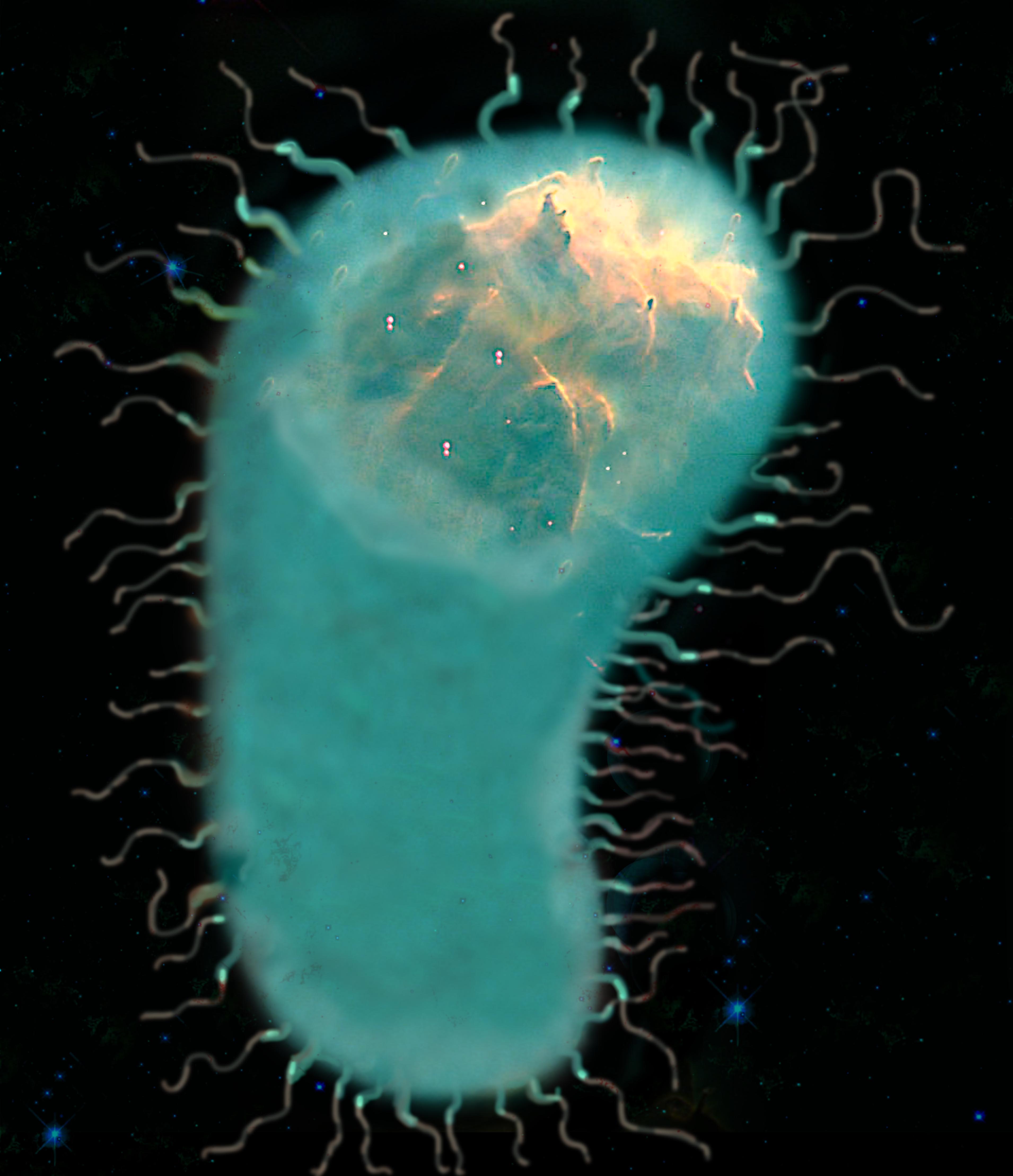 Scientific fields. Bacill гомеопатия.