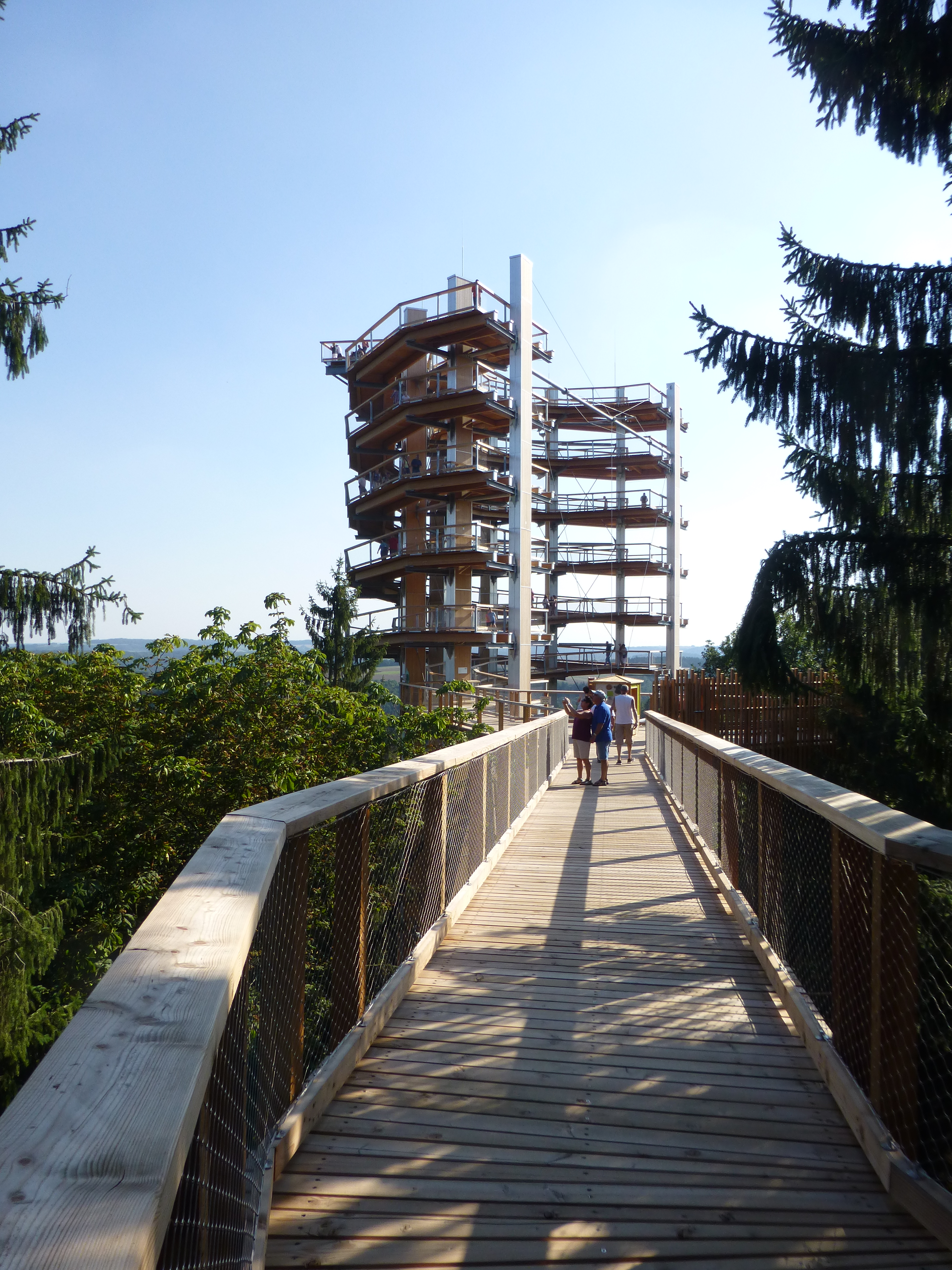 Baumwipfelpfad Saarschleife mit Aussichtsturm