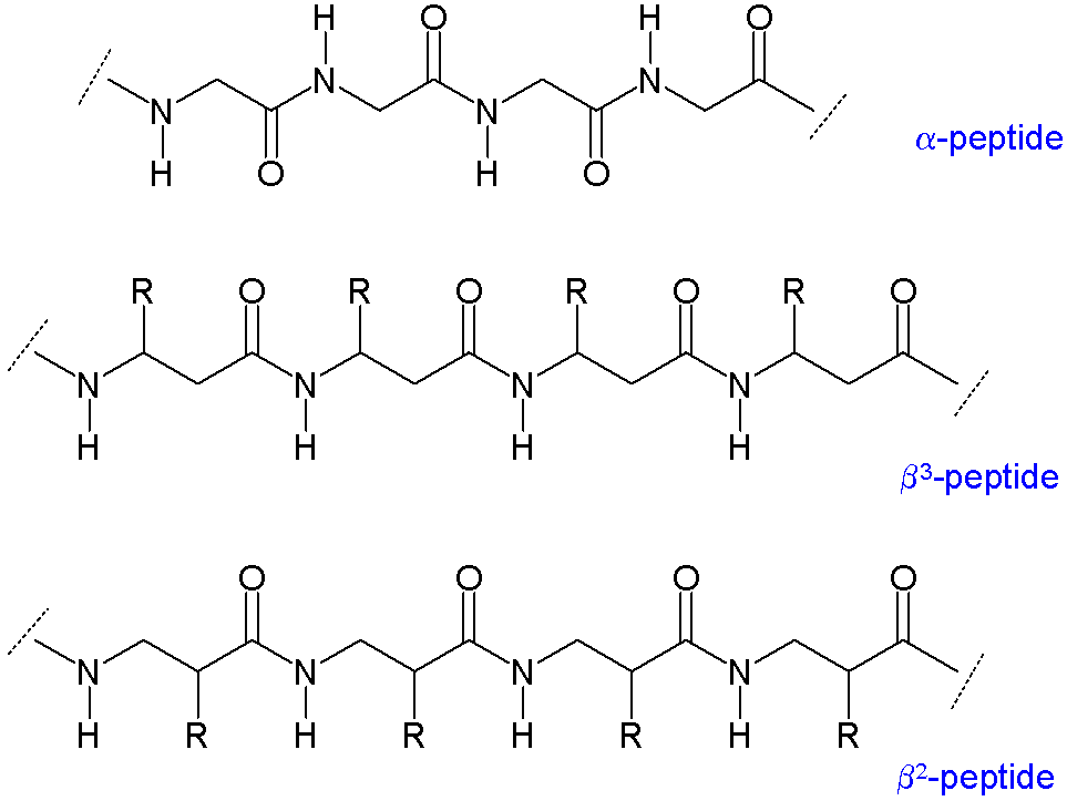 Beta peptides