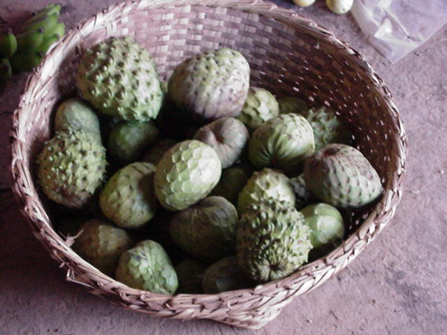 File:Cherimoya fruit basket 1.jpg