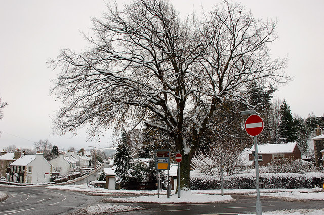 File:Commemorative oak tree, Peebles - geograph.org.uk - 1632528.jpg