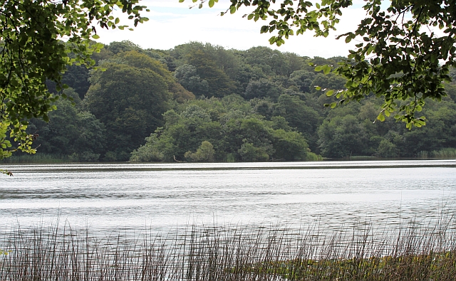 File:Crannog, White Loch of Myrton - geograph.org.uk - 3101125.jpg