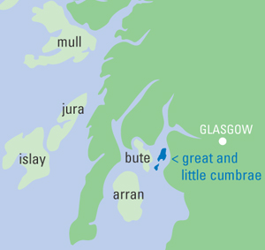 File:Cumbrae locale.jpg