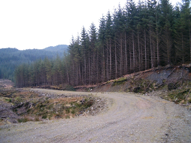 File:Cutting a new road in the forest - geograph.org.uk - 117474.jpg