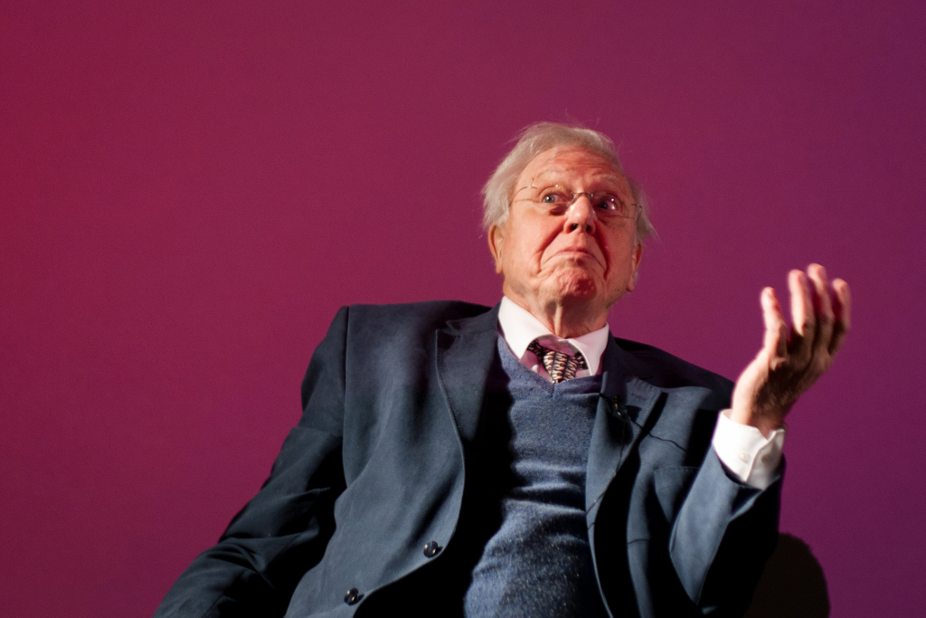 David Attenborough takes his voice talents to the Oculus 