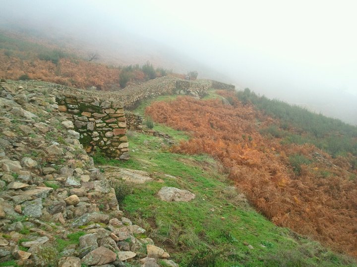 File:Detalle de la muralla del Castro Celta El Raso.jpg