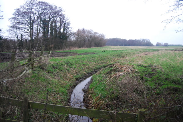 File:Drain at Sheerwater - geograph.org.uk - 3521261.jpg