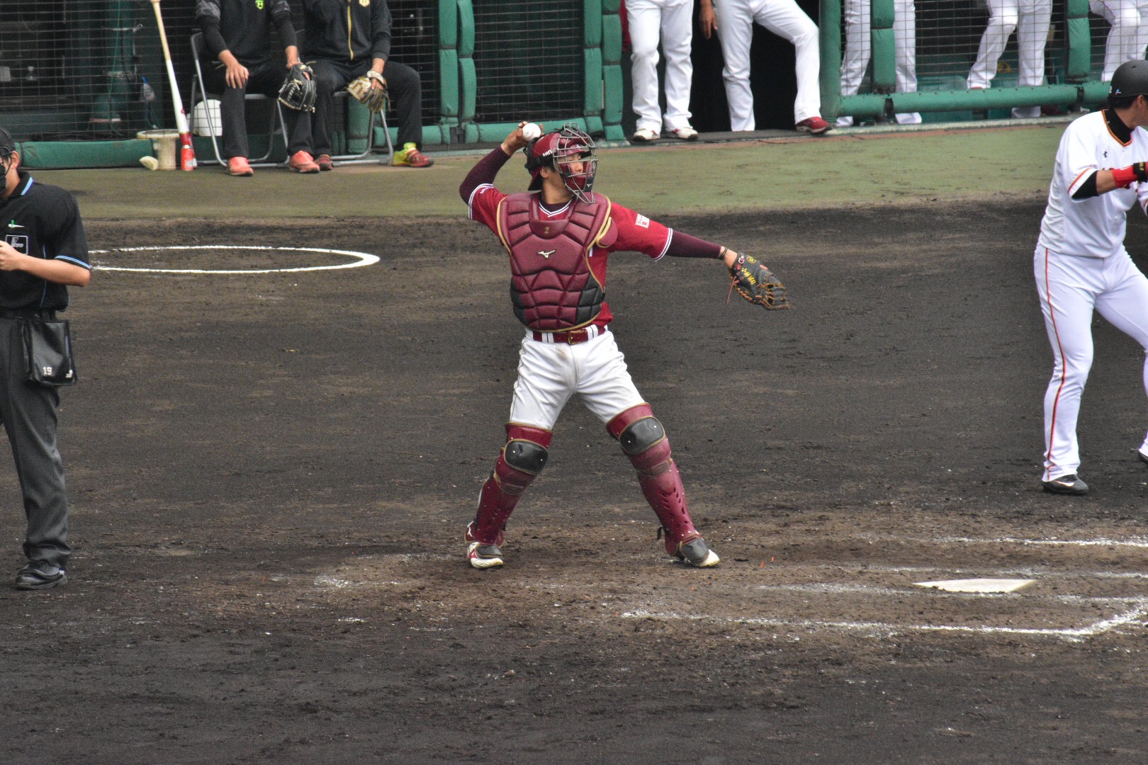 太田光 野球 Wikipedia