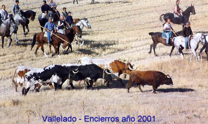 Encierres camperos de Vallelado