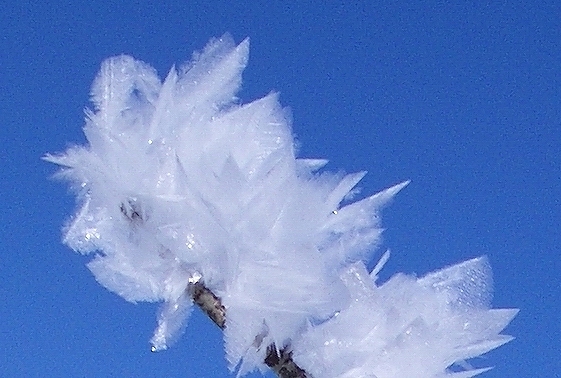 File:Feather ice Alta plateau Norway 2006 C Thom.jpg