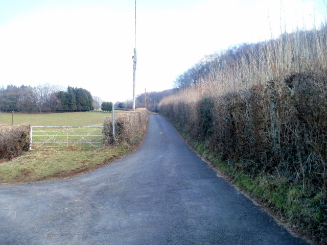 File:Field gate at junction north of Parc Seymour - geograph.org.uk - 2254516.jpg