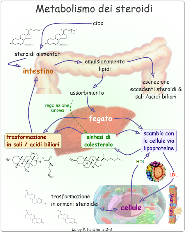 25 domande che devi porre sulla sito steroidi affidabile