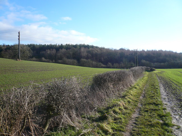 File:Footpath View in direction of Langwith Wood - geograph.org.uk - 656178.jpg