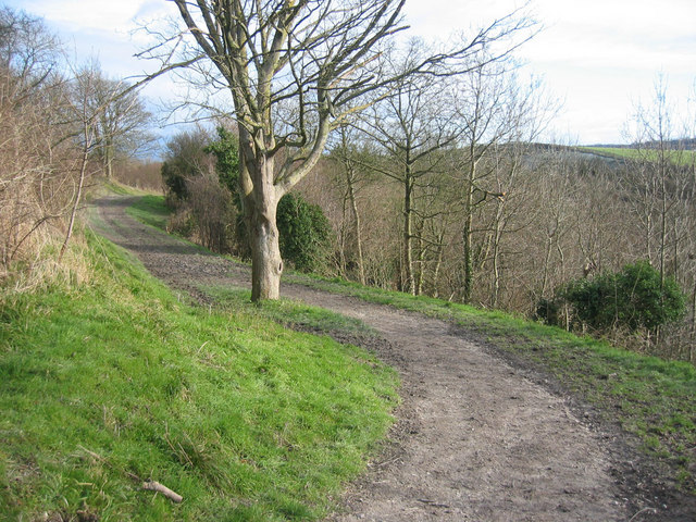 File:Footpath along the Knolls - geograph.org.uk - 324025.jpg