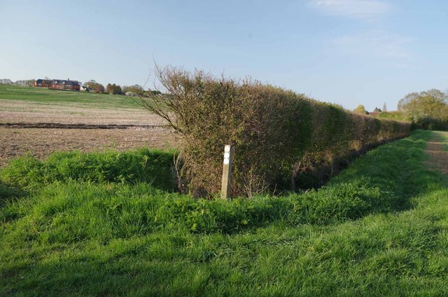 File:Footpath to Loamy Hill Rd - geograph.org.uk - 3452471.jpg