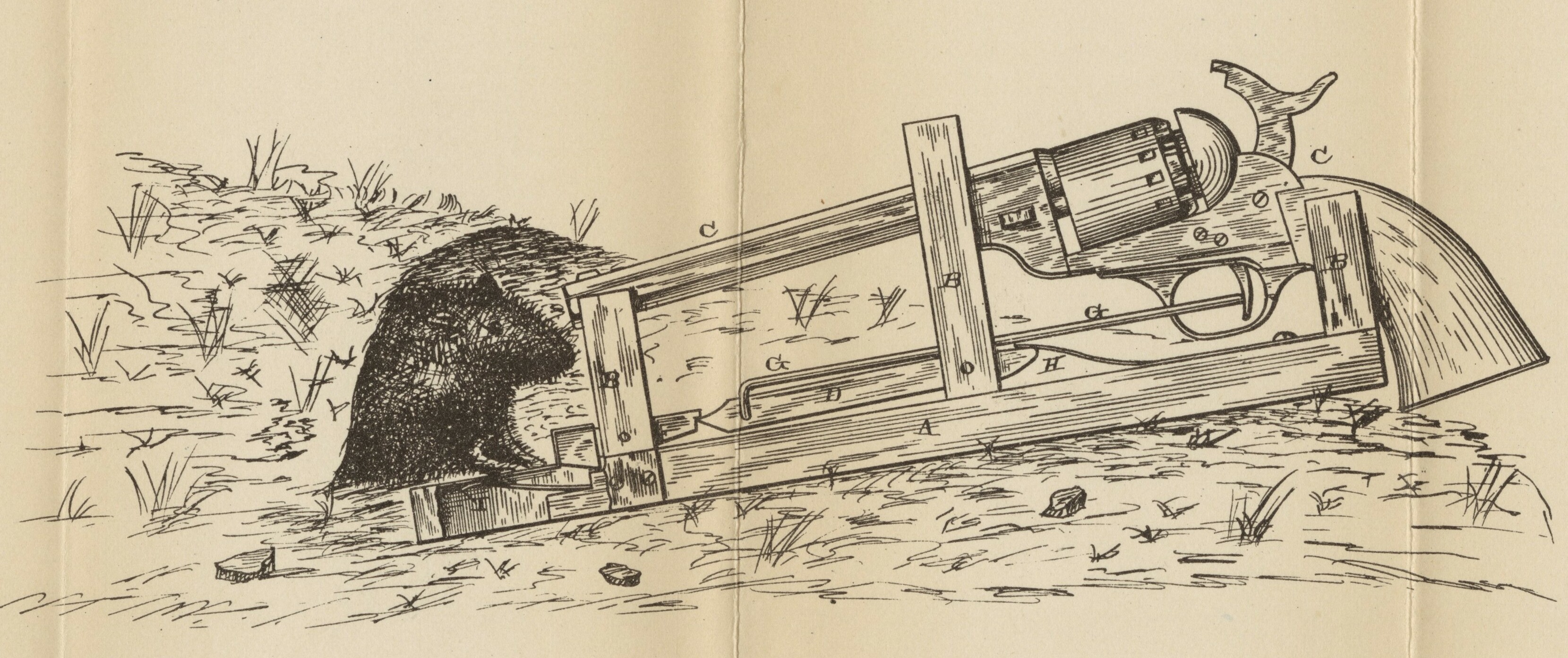 https://upload.wikimedia.org/wikipedia/commons/a/a4/Gun_powered_mousetrap_patent_number_269766.jpg