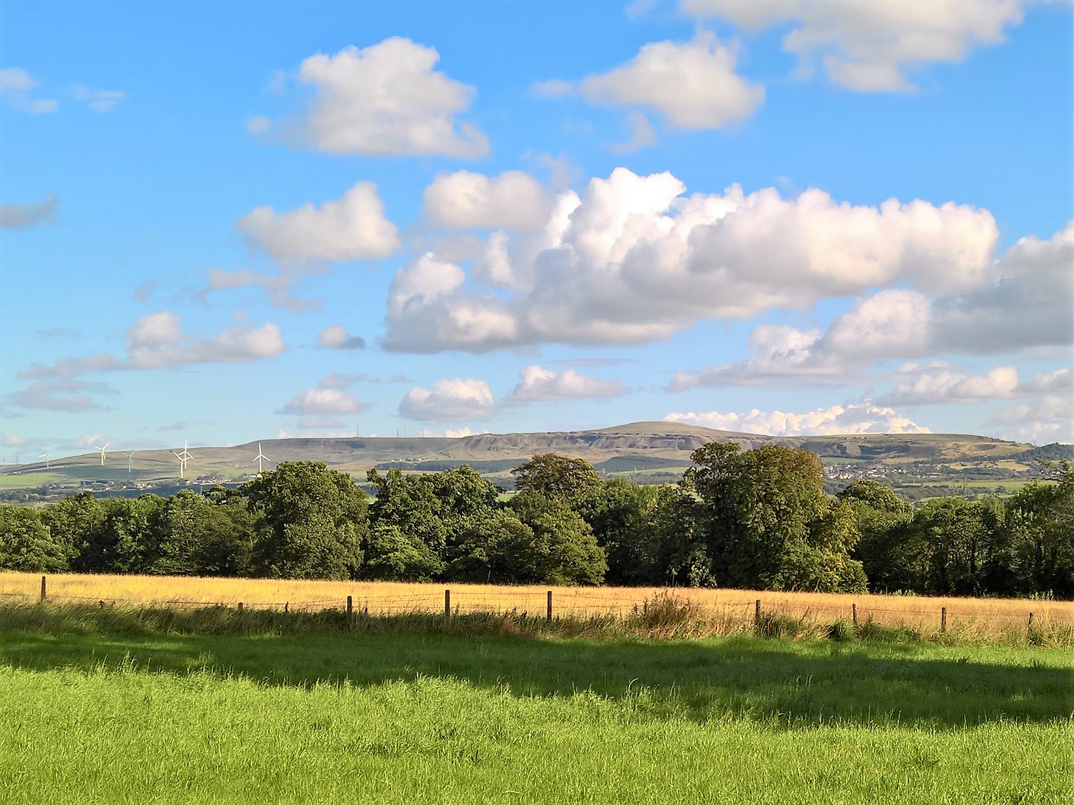 Hameldon Hill